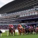 Royal Ascot day one tips: 40/1 each-way pick in Coventry