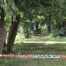 V Budějovicích stále pátrají po devítileté dívce, která spadla do Vltavy