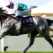 Field Of Gold stars at Royal Ascot in St James's Palace Stakes romp