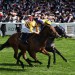 American Affair all out to claim King Charles III title for Goldie