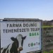 Do 16. júna bolo pre slintačku a krívačku usmrtených 8578 zvierat