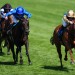 Crimson Advocate swoops from last to first in Duke Of Cambridge
