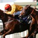 Cercene produces battling display to beat Zarigana in Coronation Stakes
