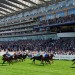 Weekend Winners: 12/1 pick on Royal Ascot's final day