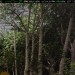 Steam pridáva pokročilý in-game overlay so sledovaním generovaných a natívnych FPS