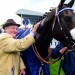 'A giant of the game' - Mullins pays tribute to Prendergast