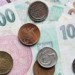 Koruna sílí oproti americkému dolaru. Po čtyřech letech se dostala pod 21 korun