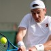 Draper hails 'Andy Murray effect' as Brits dazzle at Wimbledon
