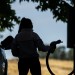Contributor: We still rely on gasoline. Why is California adding to the cost and the pollution?