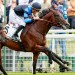 Woodshauna flies home to land Prix Jean Prat spoils