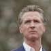 Six months after L.A. fires, Newsom calls for federal aid while criticizing Trump's 'polluted heart'