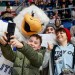 Ako budú vyzerať nové dresy? Zostáva Harvy maskotom? Koľko stoja permanentky? Šéfovia HC Slovan reagujú na novinky