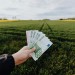 Slovenskí poľnohospodári bijú na poplach: Masívny dovoz z Ukrajiny ohrozuje ceny aj pracovné miesta
