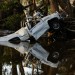 Three Californians, family of former Giants pitcher, missing in Texas flash floods