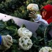 California farmers say Medicaid recipients, automation can't replace their immigrant workers
