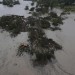 L.A. firestorms and Texas floods show communities are ill-prepared for worsening climate disasters