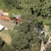 Child killed when tree branch falls at Calabasas summer camp; 4 others injured