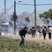 Federal immigration agents carry out sweep at Ventura County cannabis farm