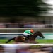 No Half Measures fancied to upset the applecart in July Stakes