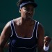 Venus Williams accepts wild card to make tennis return