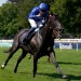 Cinderella's Dream thwarts January in Falmouth tussle