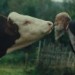 Klasický vypravěč mi přišel málo šílený, říká režisér Remo. Film Raději zešílet v divočině vypráví kráva