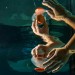 Cyborg jellyfish could help uncover the depths and mysteries of the Pacific Ocean