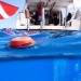 Garmin S1 Buoy je sonarový router,  který vytvoří podmořskou síť pro potápěče. Oranžová bójka má dosah až 100 metrů