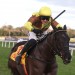 Mullins issues Galopin Des Champs reappearance warning