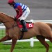 Quebecois looks to get off the mark over fences at Newbury