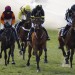 Today on Sky Sports Racing: Sedgefield and Newcastle host live action