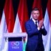 Jelínek: Vítězství Magyara by byl zajímavý impulz pro Evropu. Nemalujme si ale situaci přehnaně růžově