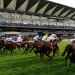 Mudbir headlines the Victoria Cup at Ascot
