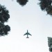 Letná dovolenka v ohrození: aerolínie rušia lety, letenky prudko zdražujú