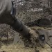 ONLINE: Koniec prímeria. Kyjev opäť čelí dronovým útokom