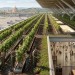 Chateau letisko? Taliansko stavia terminál, ktorý bude mať na streche vinicu a za dráhou sudy s vínom
