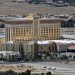 Three horses stabbed at Las Vegas barrel race competition. Teen girl is arrested