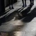 Dog owner charged with murder in beating, stabbing death on Hollywood Walk of Fame