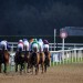 Today on Sky Sports Racing: Kakirra chases hat-trick at Wolverhampton