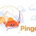Pingora: zpracování požadavku a vlastní logika proxy