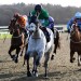 Today on Sky Sports Racing: Uttoxeter, Lingfield and Ffos Las feature