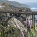 With Highway 1 open, Big Sur braces for its busiest summer in years