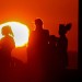 Emergency room visits during heat waves available to the public in 'near-real time' in L.A. County
