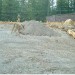 Mule deer become first animals to use California's first wildlife crossing