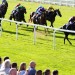 Today on Sky Sports Racing: Regal Envoy back to defend his Windsor crown