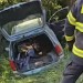 Auto bez evidenčného čísla skončilo v potoku: Šoféroval ho mladík bez vodičáku! Zranilo sa päť ľudí