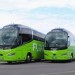 Do Chorvátska jazdí aj druhý autobusový dopravca, poznáme trasy i ceny