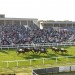 Quadrillion and Shushu clash at Yarmouth