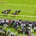 Forty Years On returns at Newbury