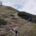 Mrazivé zábery z Tatier: Turisti kráčali po chodníku, zrazu im medveď prebehol tesne poza chrbty!